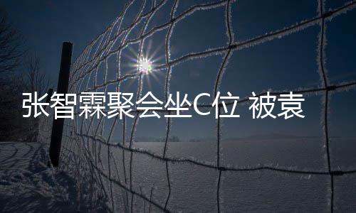 被C位霖聚张智子怡绕会坐等围袁咏仪章